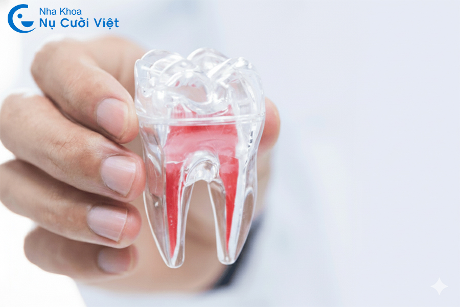 Nụ Cười Việt - Lấy tủy răng có ảnh hưởng gì không? Tác hại khi lấy tủy răng sai cách và cách hạn chế rủi ro bạn cần biết?