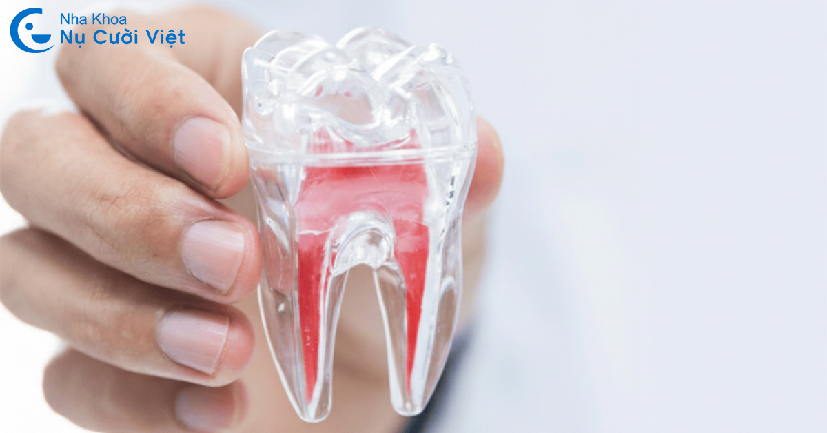 lấy tủy răng có ảnh hưởng sức gì không