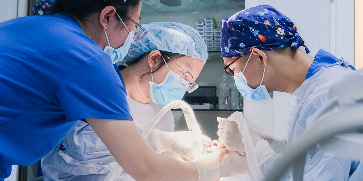 trồng implant bao lâu thì ăn được 2